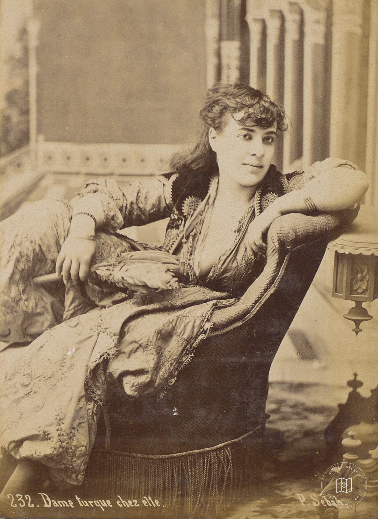 Female Portrait