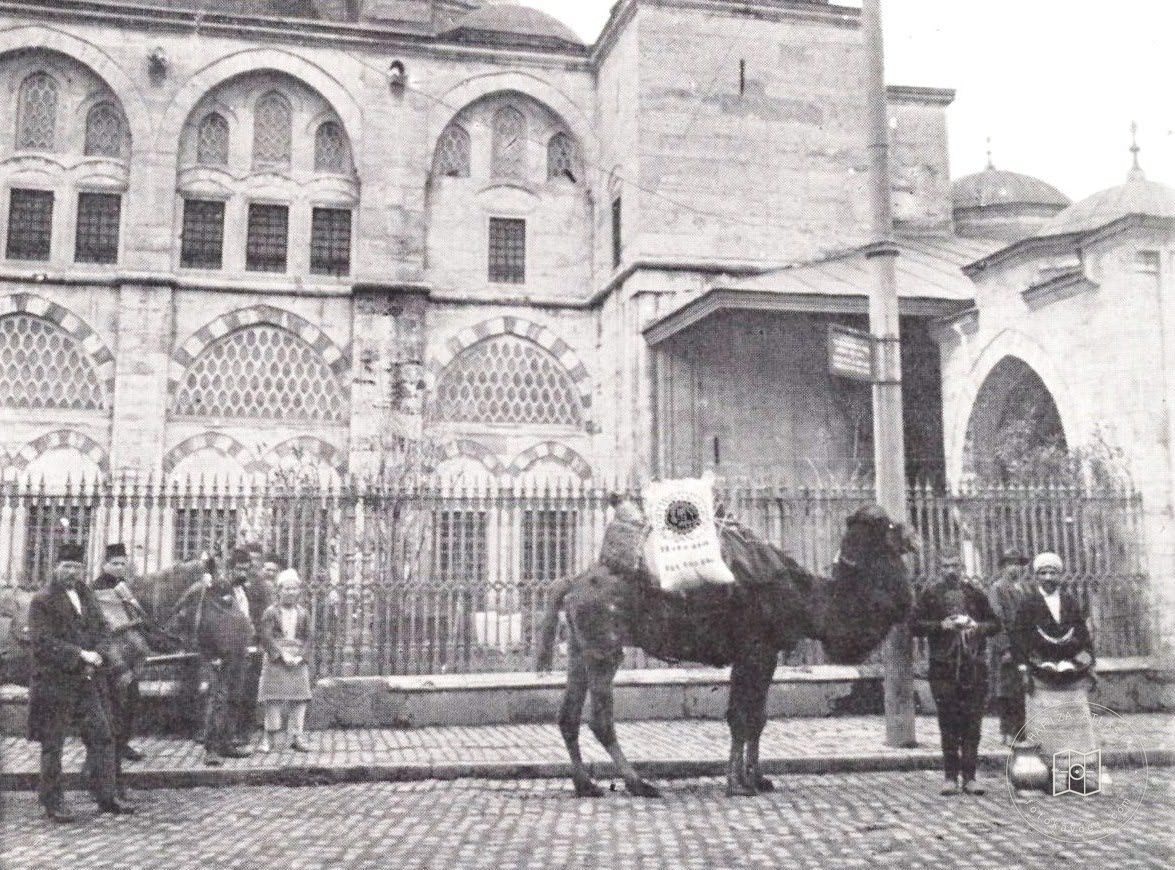 Kılıç Ali Paşa Camii ve Deve