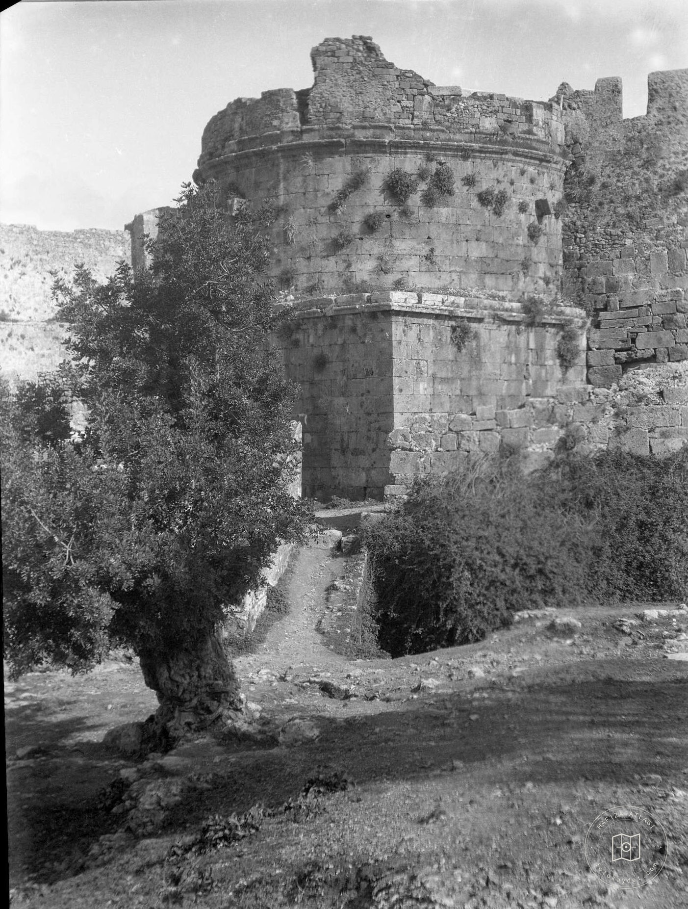 Tower