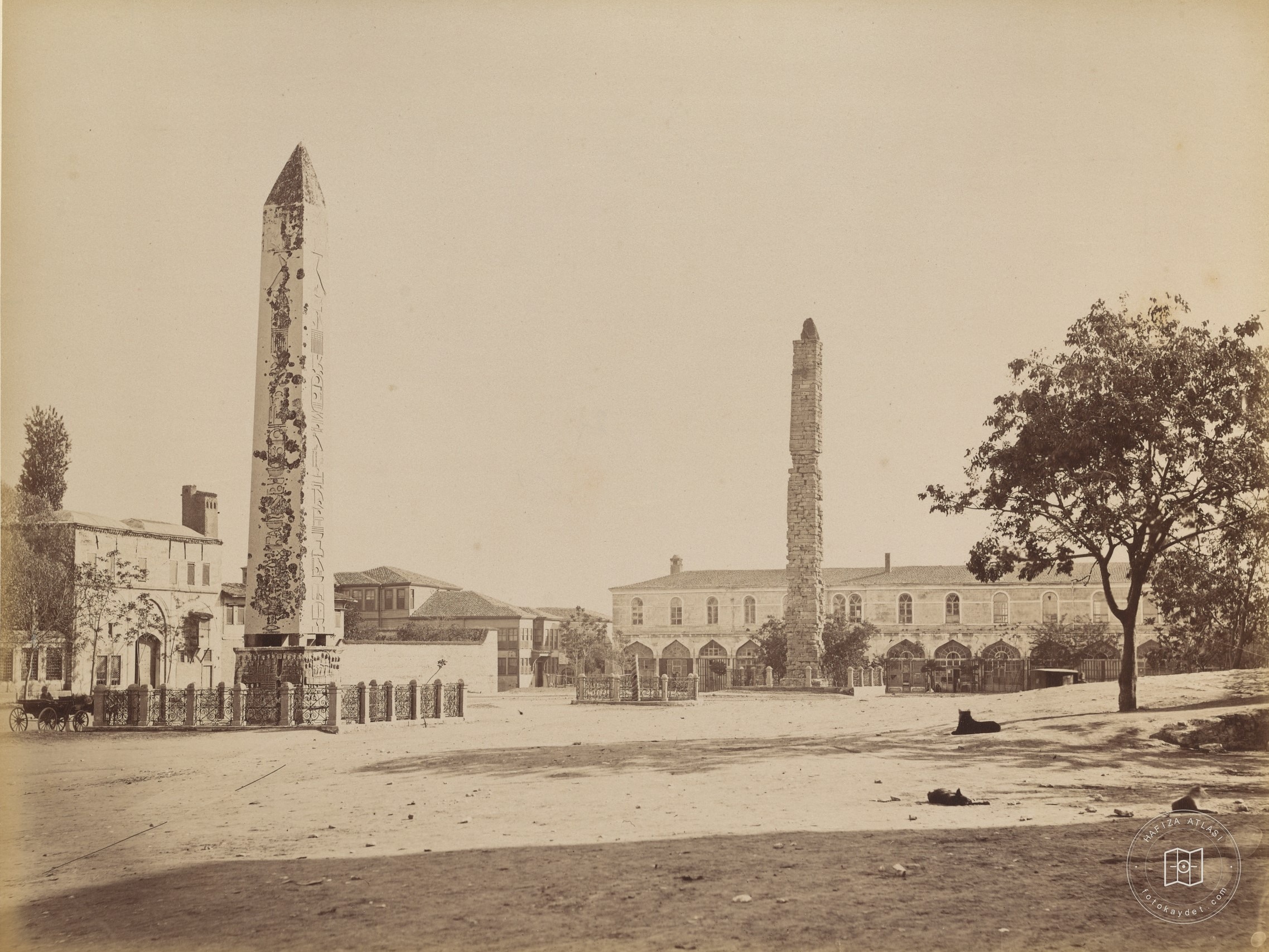 Hippodrome: Dicilitas and Knitted Column
