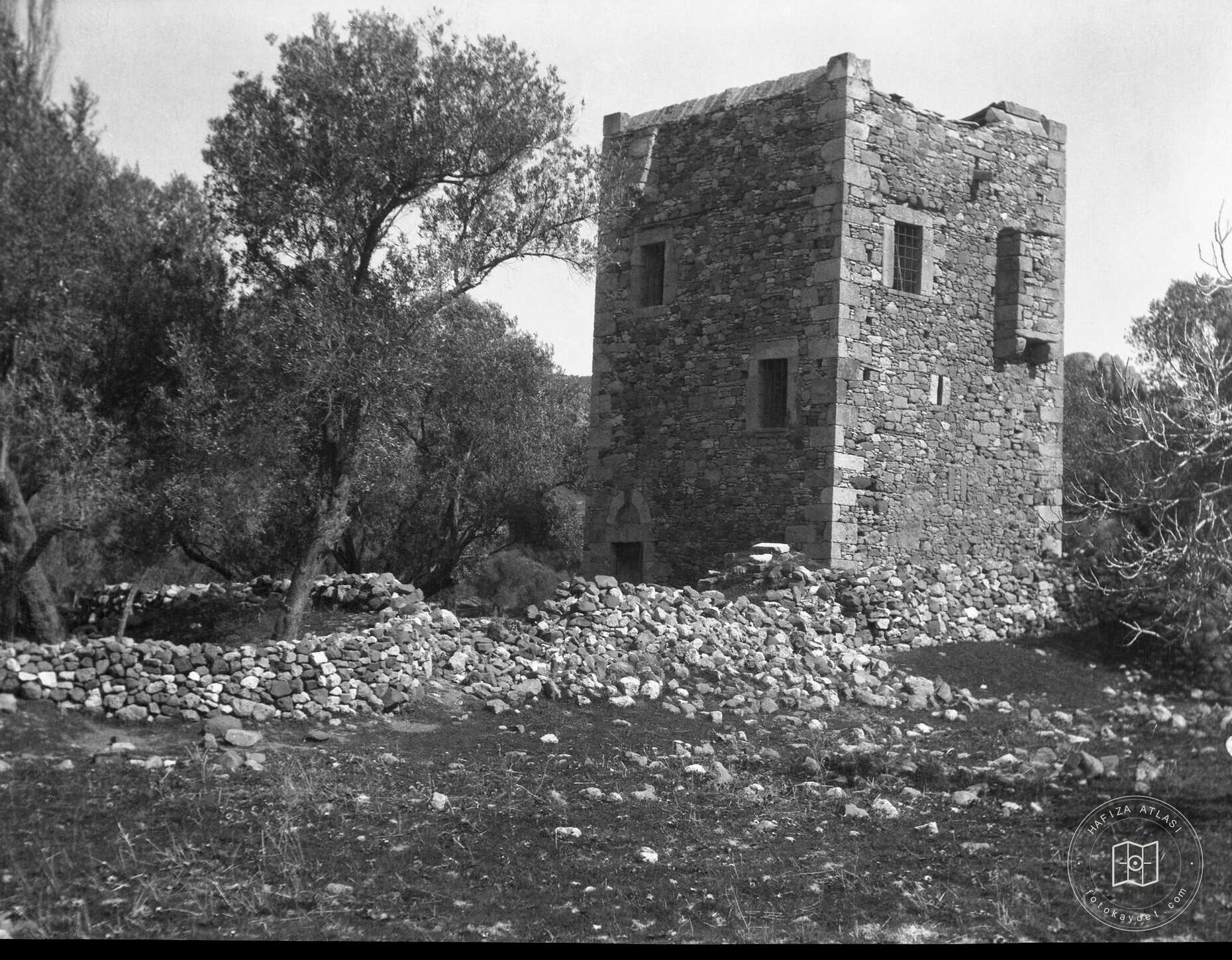 Foça