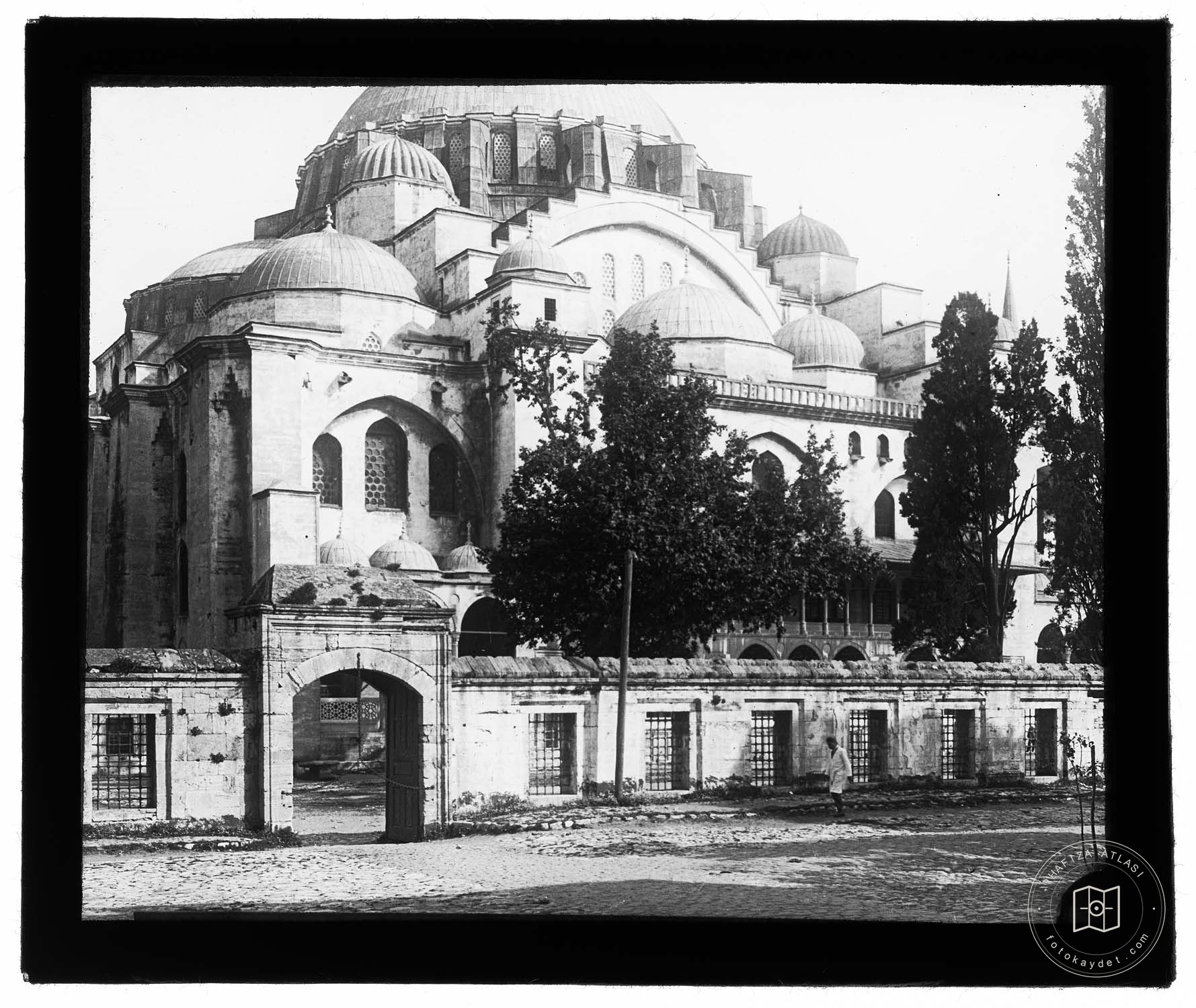 Süleymaniye Ash