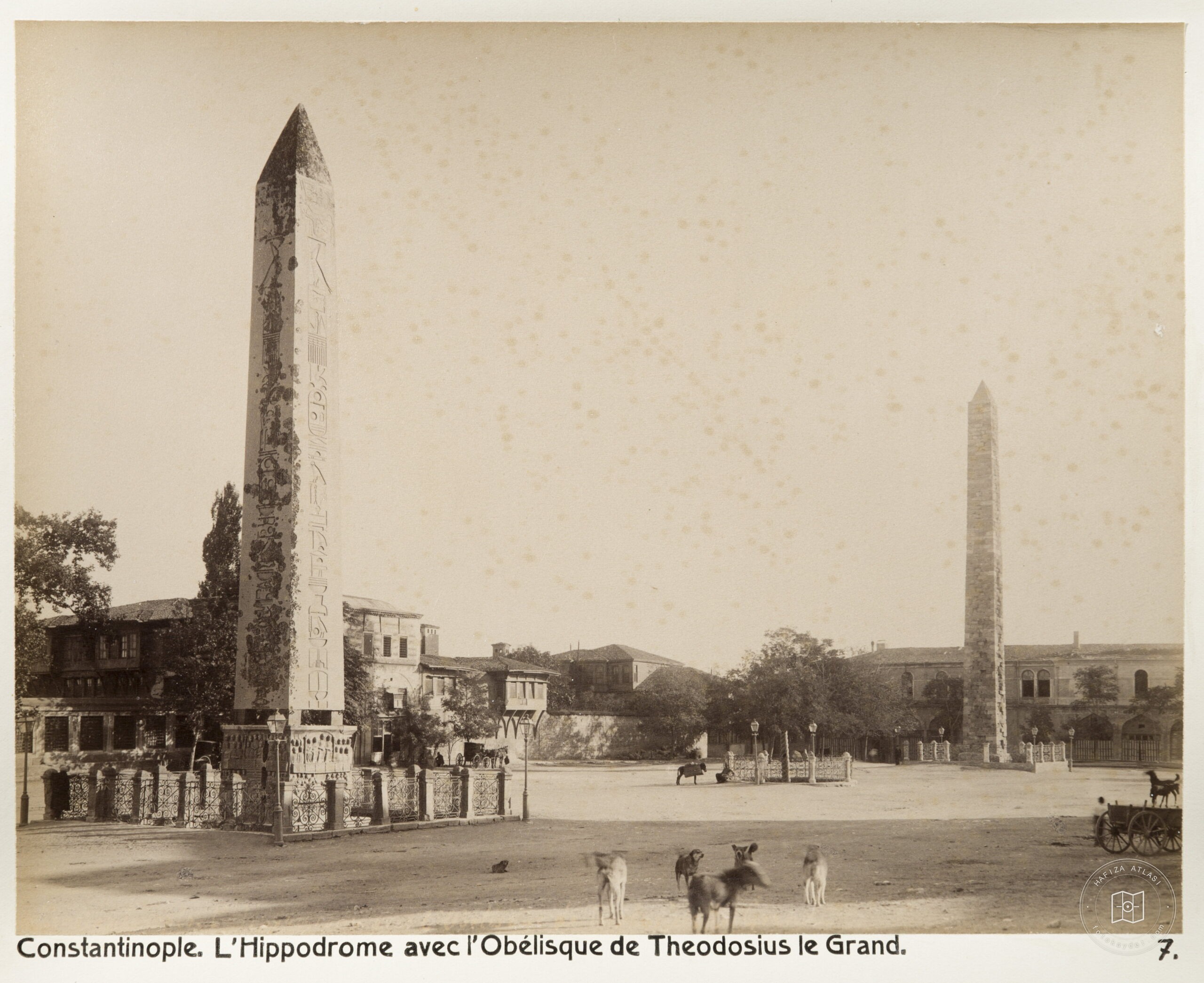 Obelisk and Knitted Dicilitas