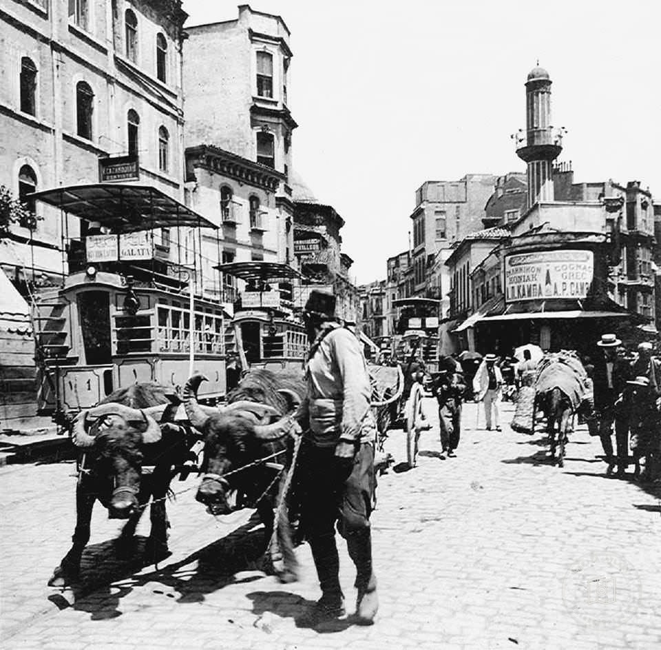 Karaköy’de Manda Arabası