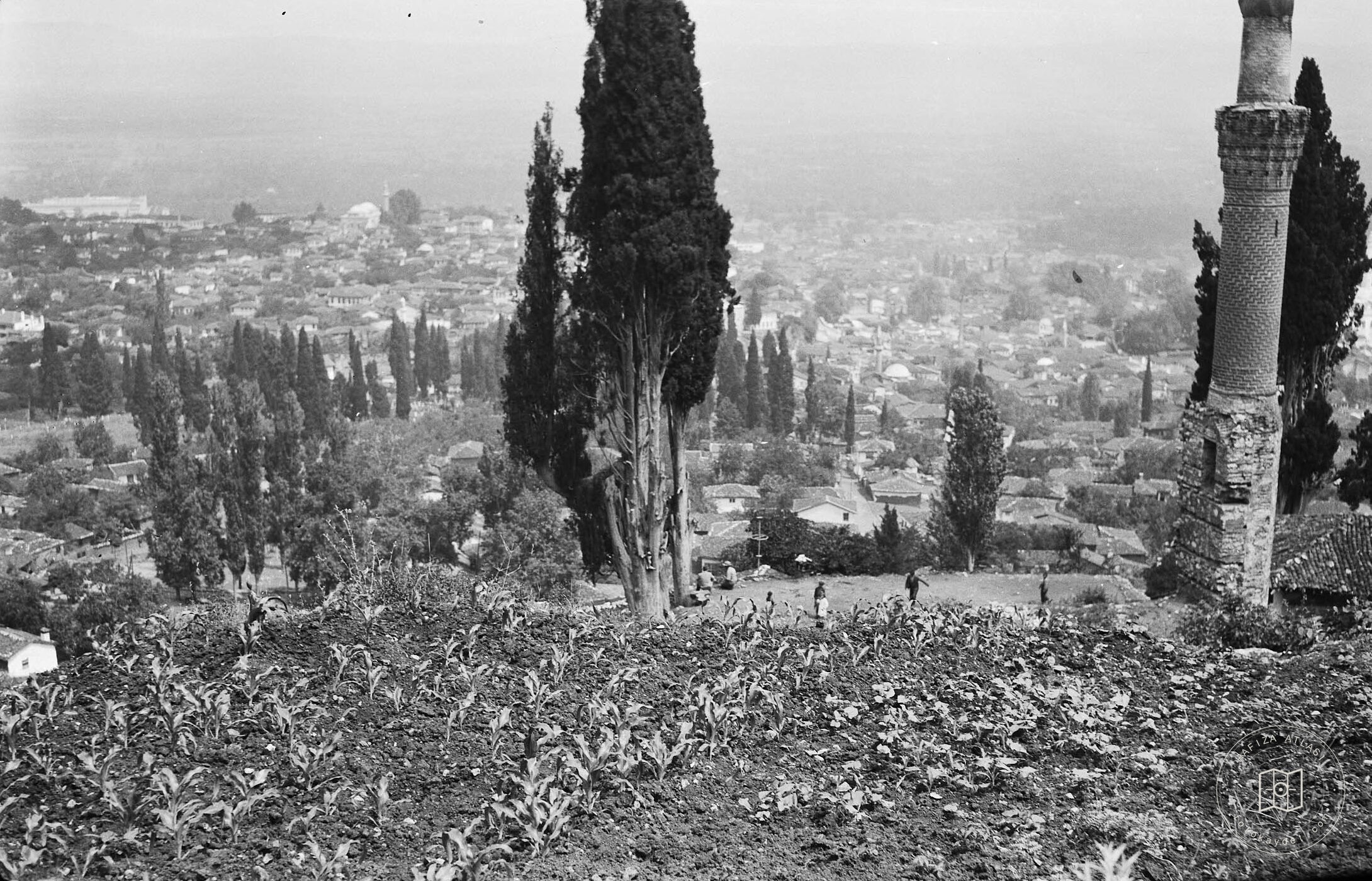Three Lambs Mosque Residues And Minaresi