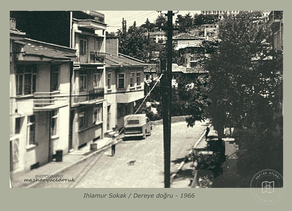 Ihlamur Street