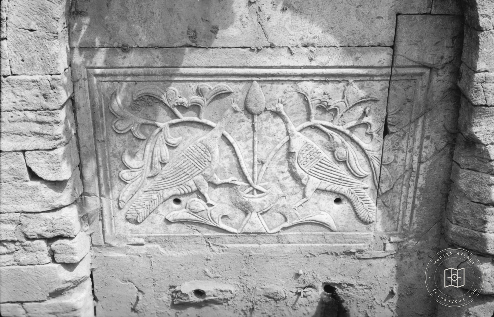 Kırkçeşme Tavus Bird Byzantine Embossing