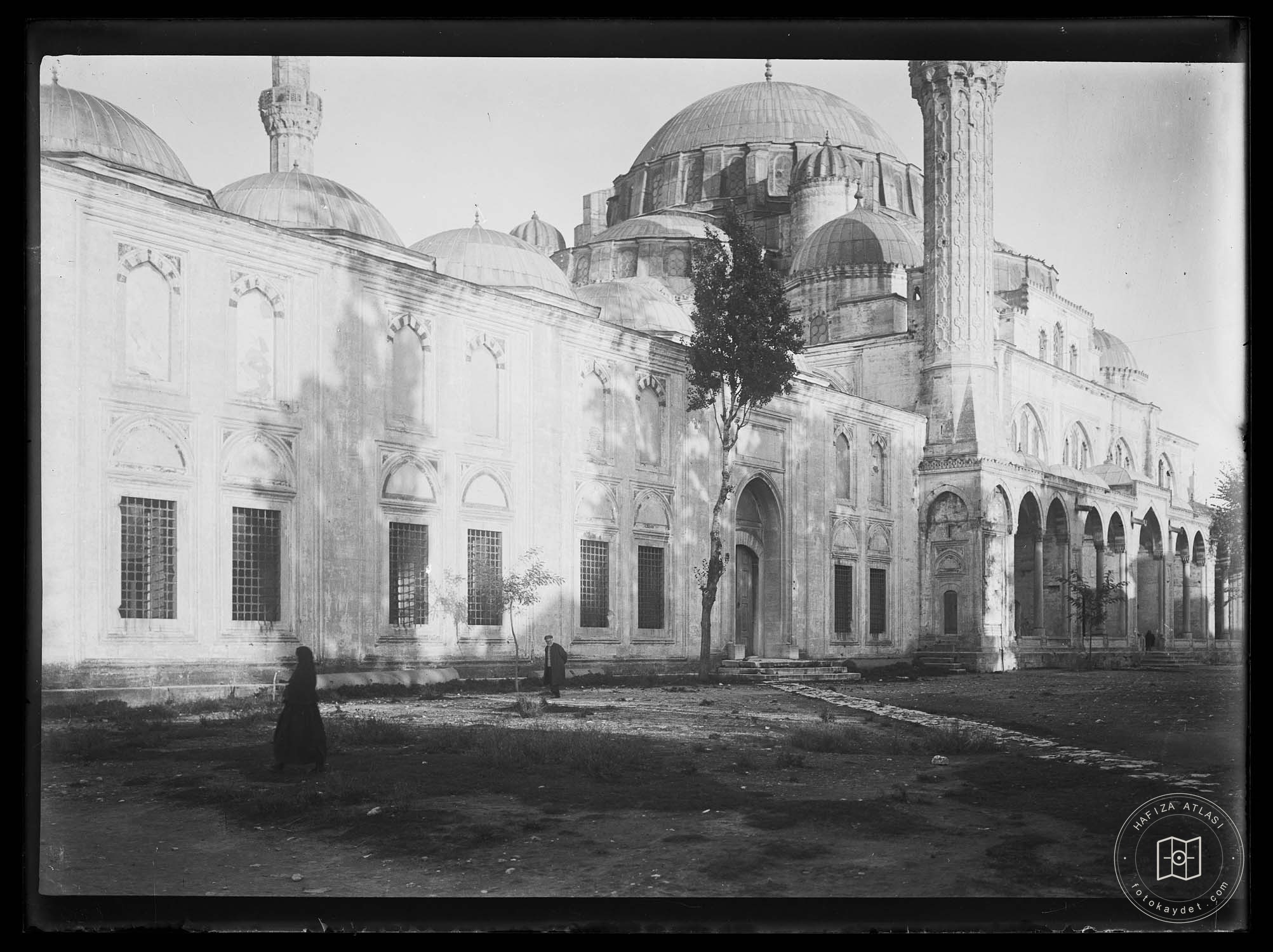 Süleymaniye Ash