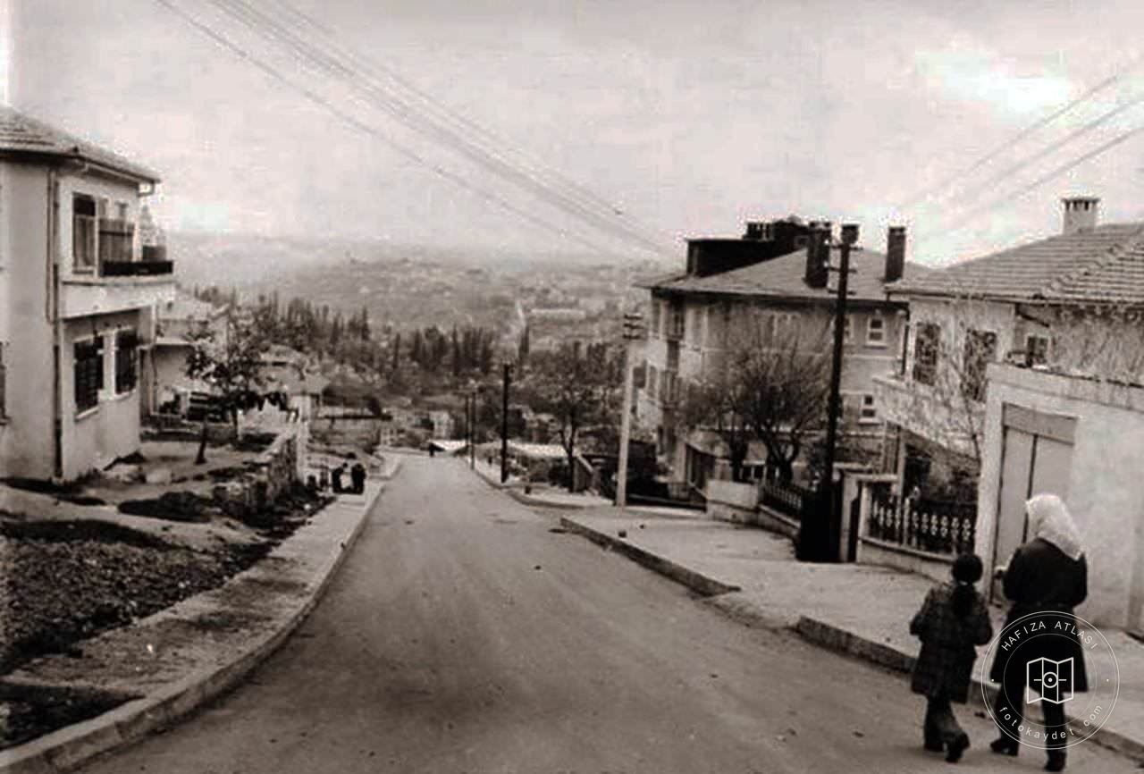 Rami Rifpaşa Avenue