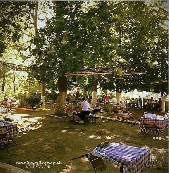 Hüsnugî Garden