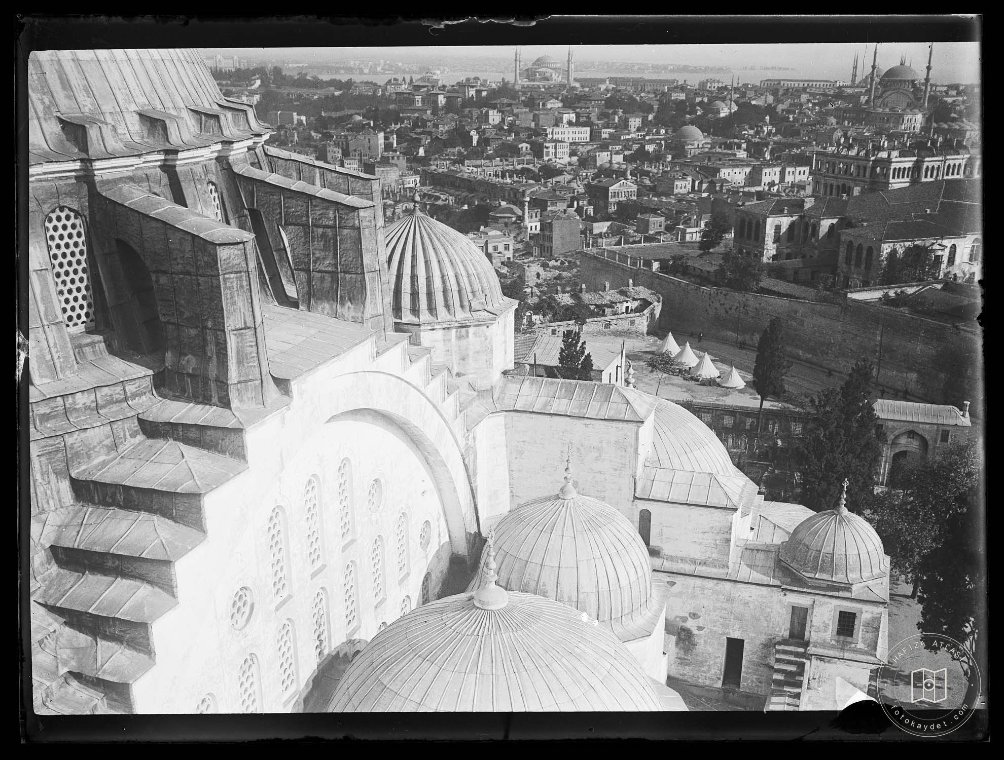 Süleymaniye Ash
