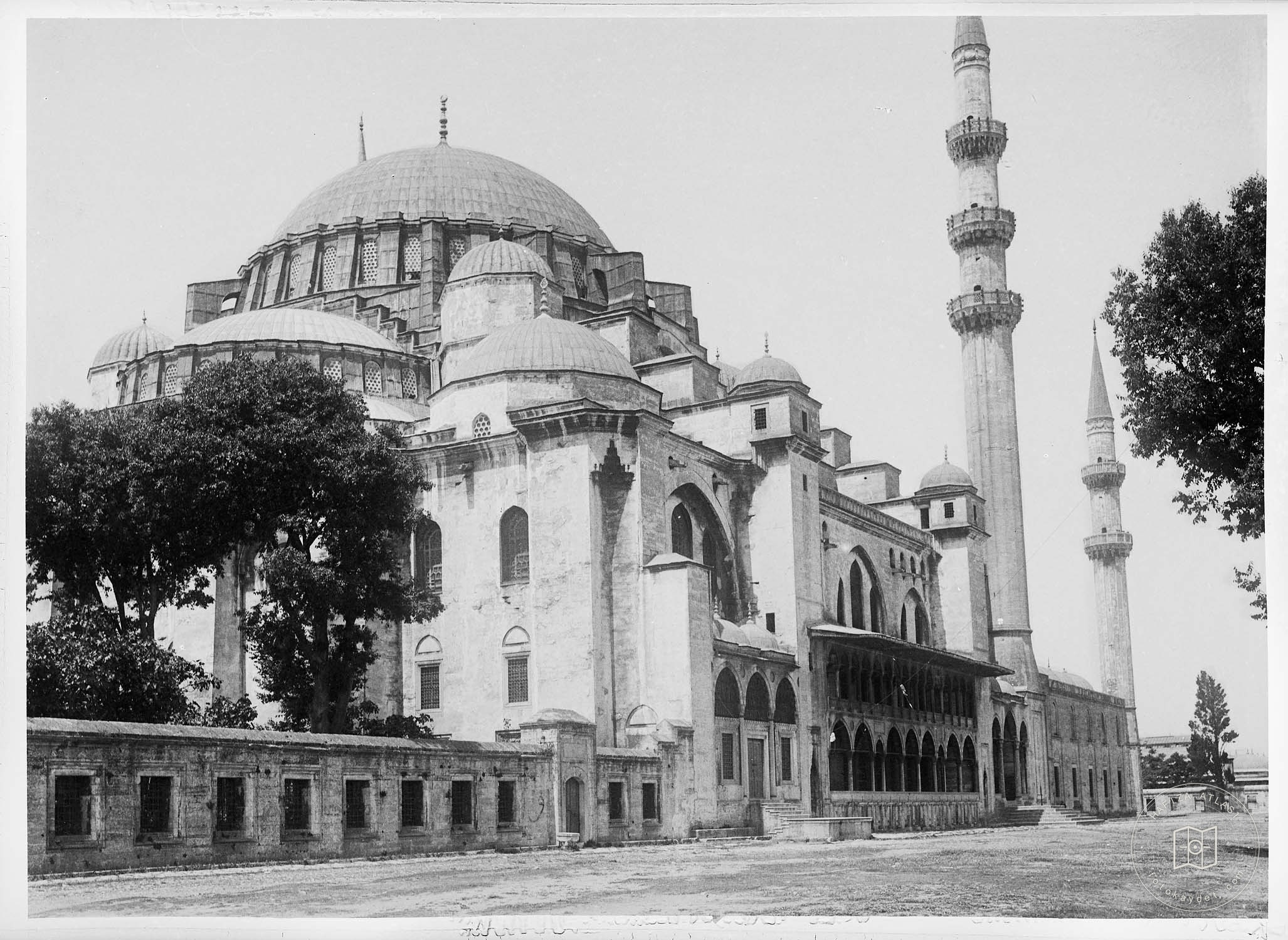 Süleymaniye Ash