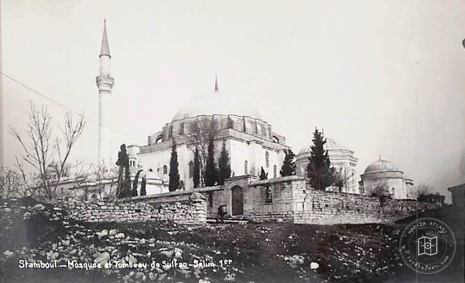 Yavuz Selim Mosque and Species