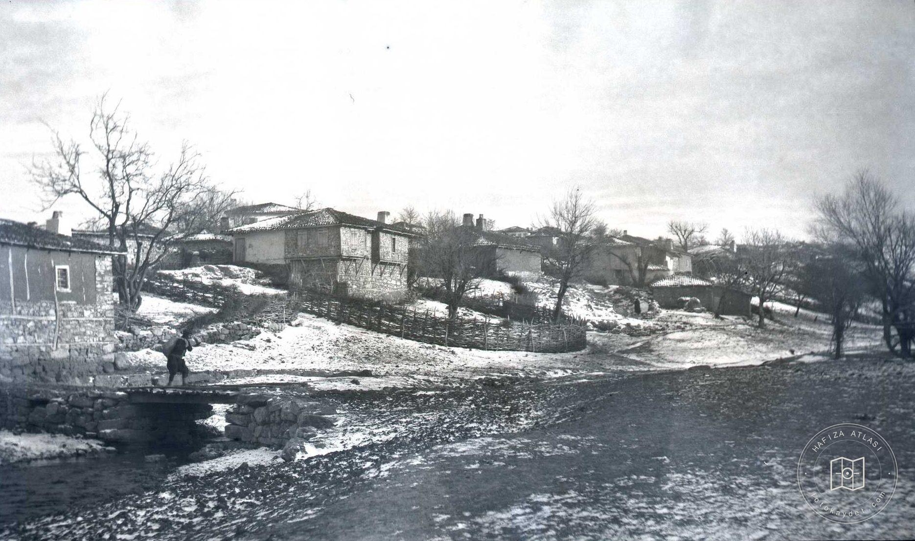 Vize Genel Görünümü