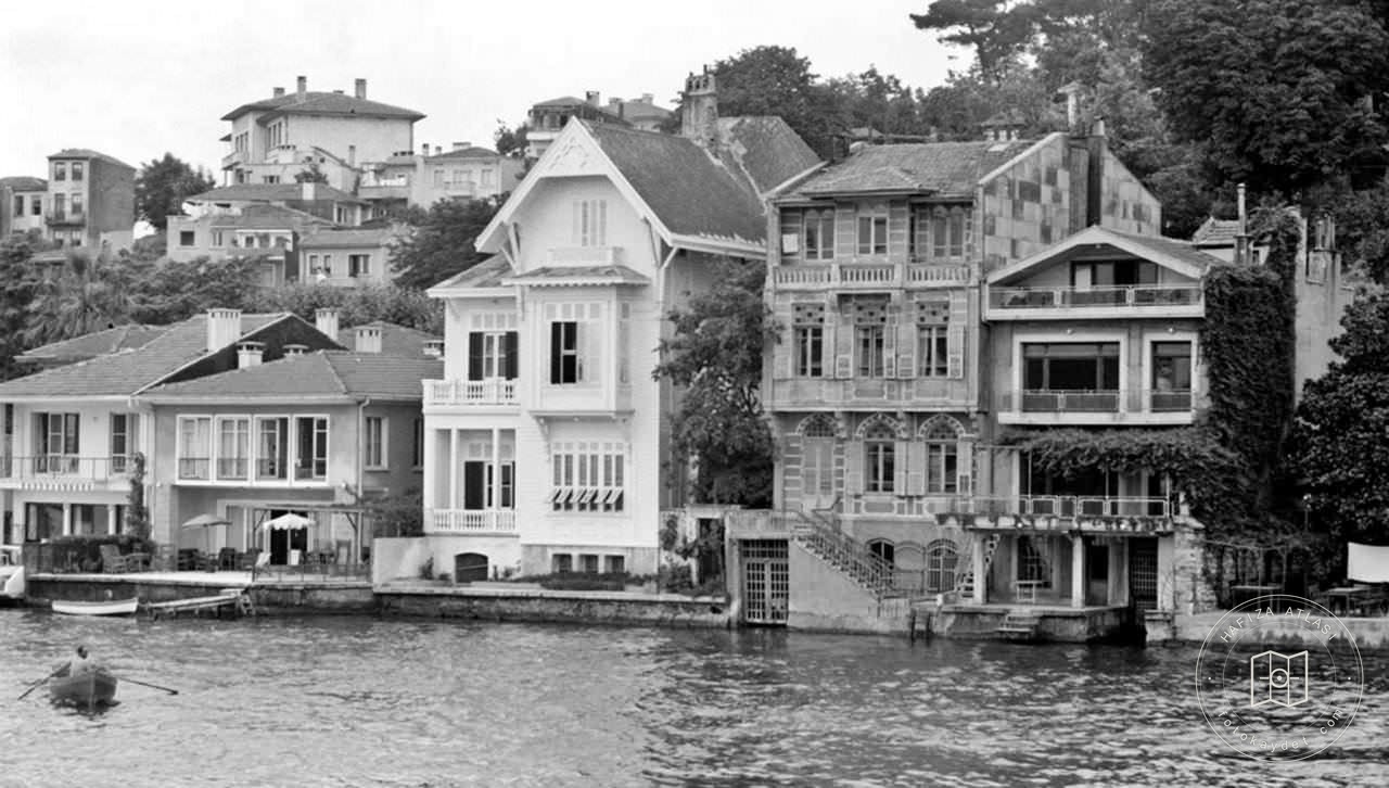 Saip Özden Yalcin