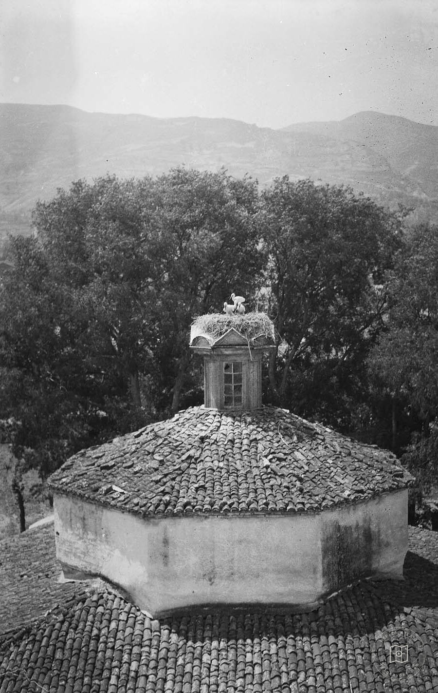 Timurtaş Paşa Camii