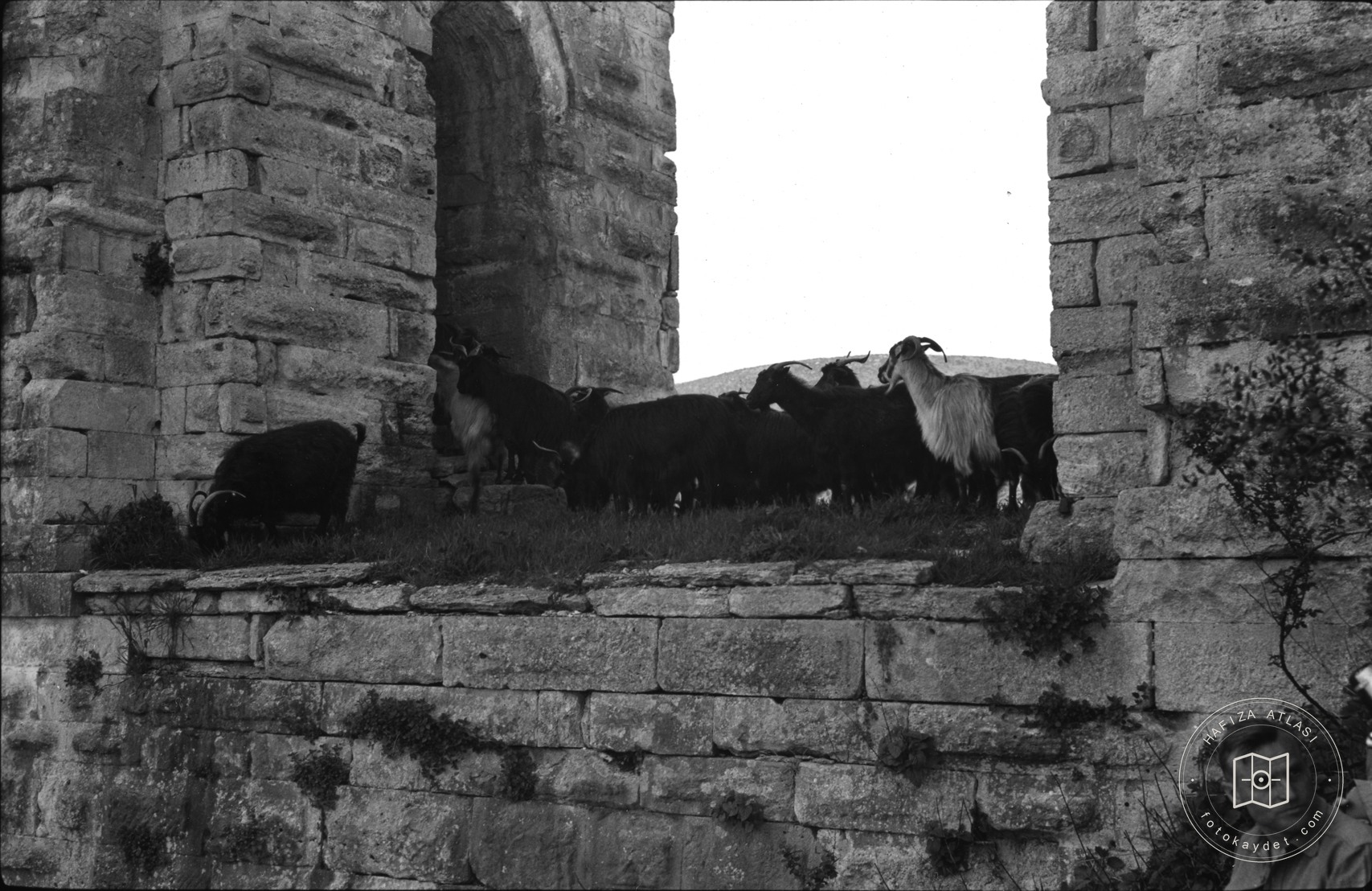 Kovuk Kemer