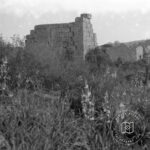 Perge Batı Surlarından Güneye Bakış