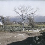 Topkapı Palace Cephane Square’ndan Marmara Denizi’ne Doğru