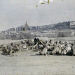 Ankara Kalesi ve Develer
