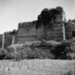 Christine Angelos Tower