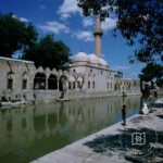 Fishery and Rizvaniye Mosque
