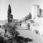 Yedikule Surs and Bostans
