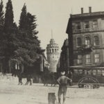 Galata Tower and Horse Tram