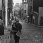 Chestnut, Ottoman Street Input