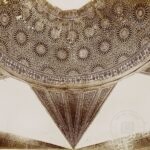 Karatay Medresesi Kubbe Detail