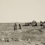 Harran Mosque