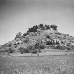 Castle