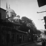 New Mosque Avenue