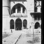 Süleymaniye Ash
