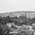 Lamos Korykos Water Belt