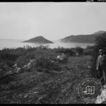 Silifke Boğsak Dark