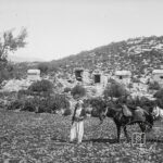 Sidyma ve Lahitler