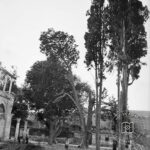 Mosque