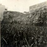 Marmara Surları, Langa Bostanı