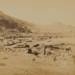 Efes Genel Görünümü