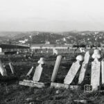 Mısır Field Cemetery Golden Horn Direction