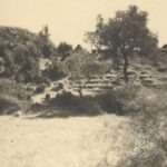 Herakleia Antik Tiyatrosu