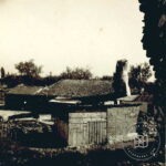 Tarsus