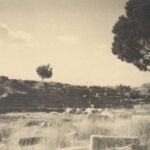 Pergamon Zeus Sunağı