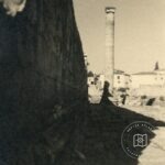 Didyma Apollon Tapınağı