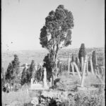 Eyüp Cemetery