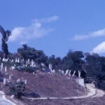 Eyüp Cemetery