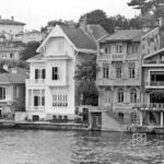 Saip Özden Yalcin
