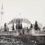 Yavuz Selim Mosque and Species