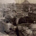 Martyr Ali Pasha Library
